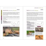 Rare Birds of the Canary Islands/Aves raras de las Islas Canarias