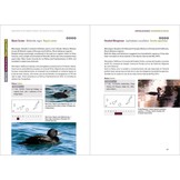 Rare Birds of the Canary Islands/Aves raras de las Islas Canarias