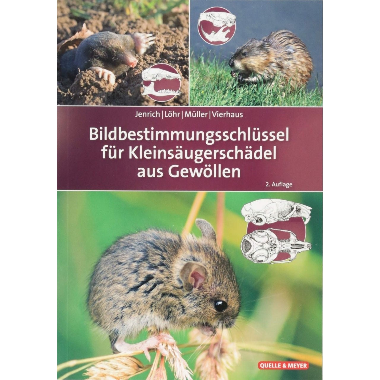Bildbestimmungsschlüssel für Kleinsäugerschädel aus Gewöllen