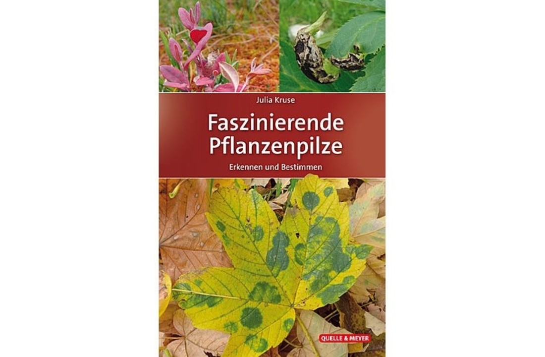 Faszinierende Pflanzenpilze - Erkennen und Bestimmen
