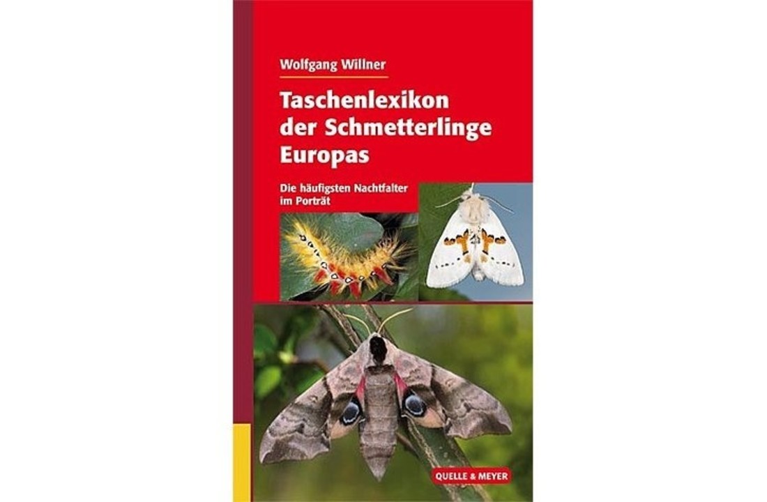 Taschenlexikon der Schmetterlinge Europas - Die häufigsten Nachtfalter im Porträt