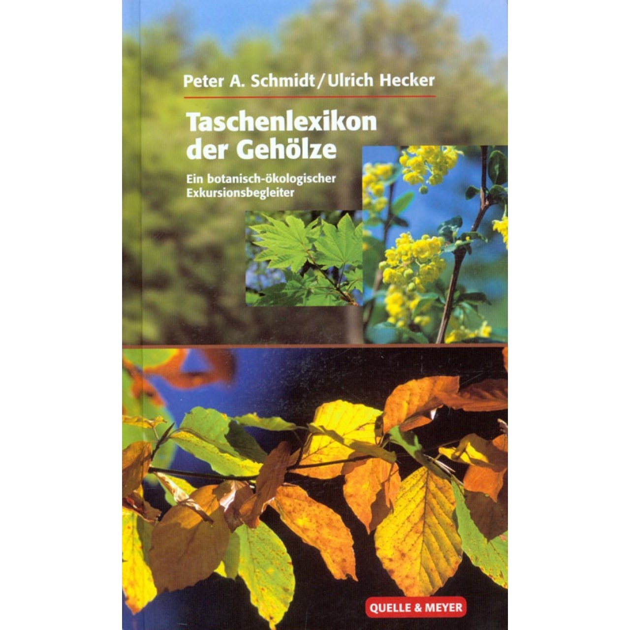 Taschenlexikon der Gehölze - Ein botanisch-ökologischer Exkursionsbegleiter