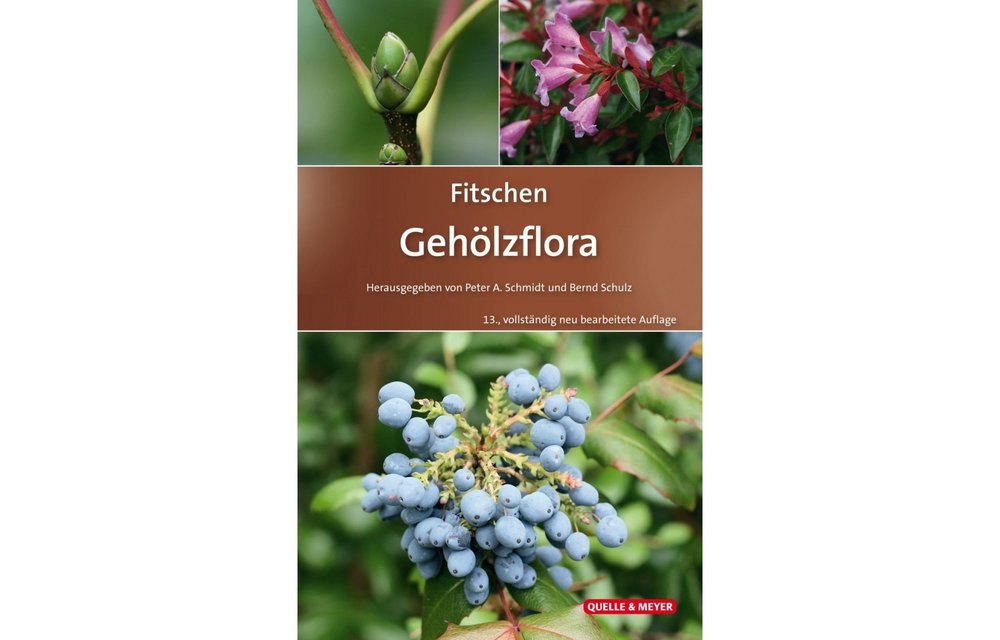 Fitschen Gehölzflora