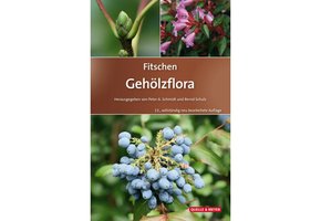 Fitschen Gehölzflora