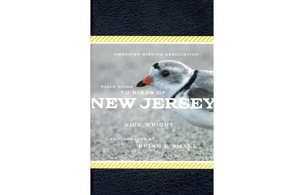 American Birding Association Field Guide to Birds of New Jersey