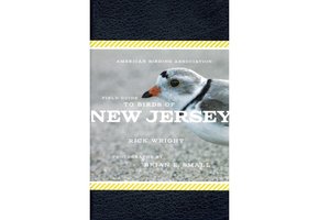 Field Guide to Birds of New Jersey