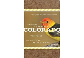 Field Guide to the Birds of Colorado