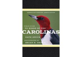 Field Guide to Birds of the Carolinas