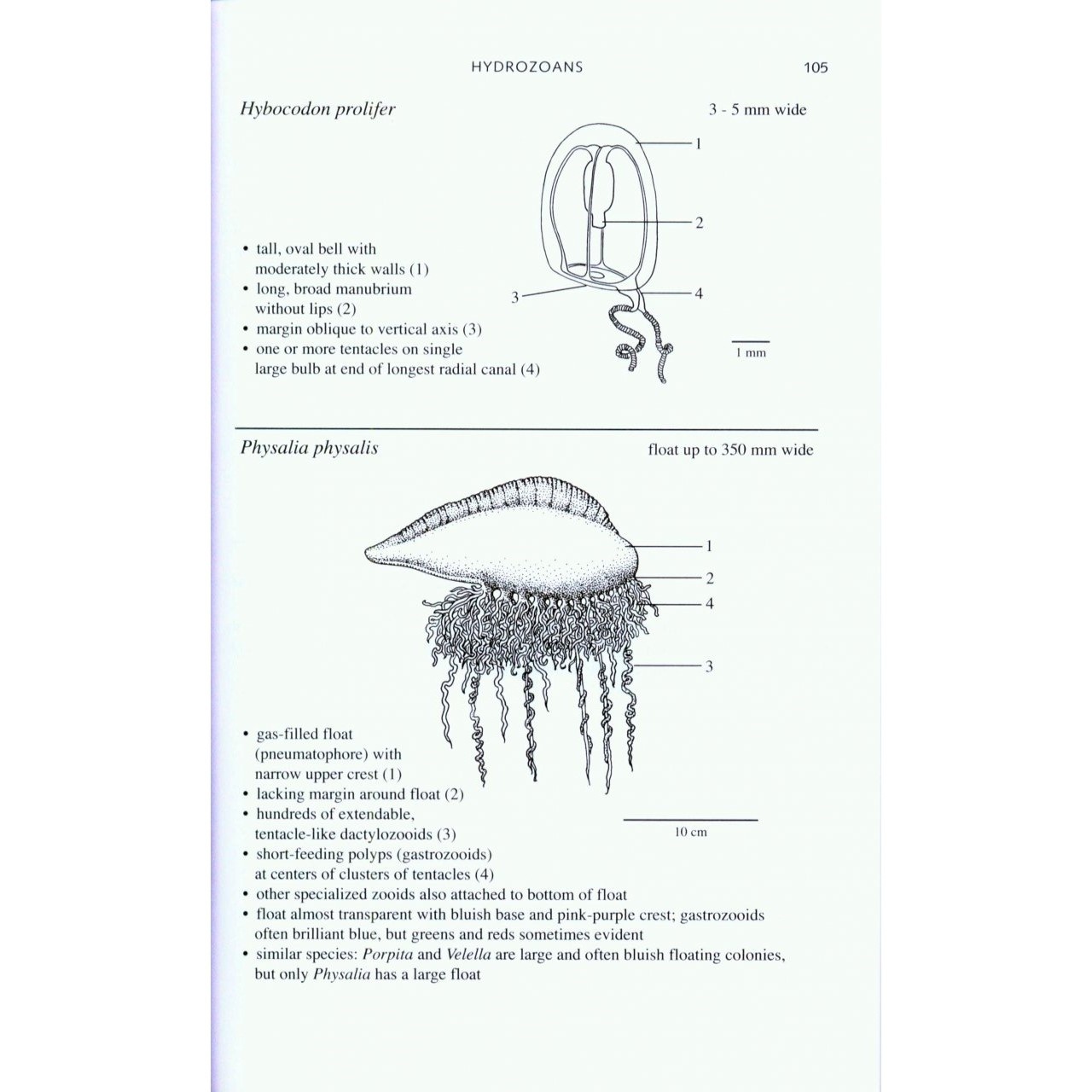 Zooplankton of the Atlantic and Gulf Coasts 