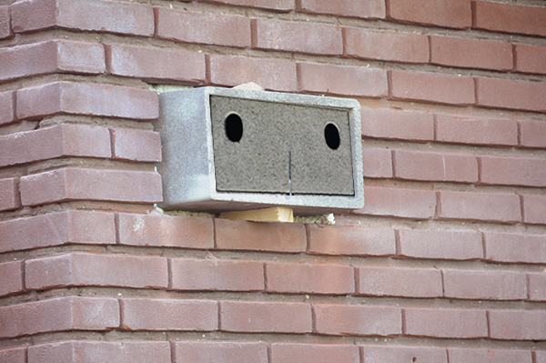 APK-2 Nest box Sparrow