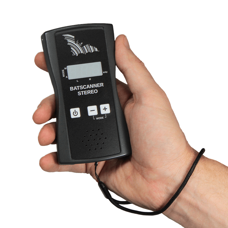 Batscanner Stereo
