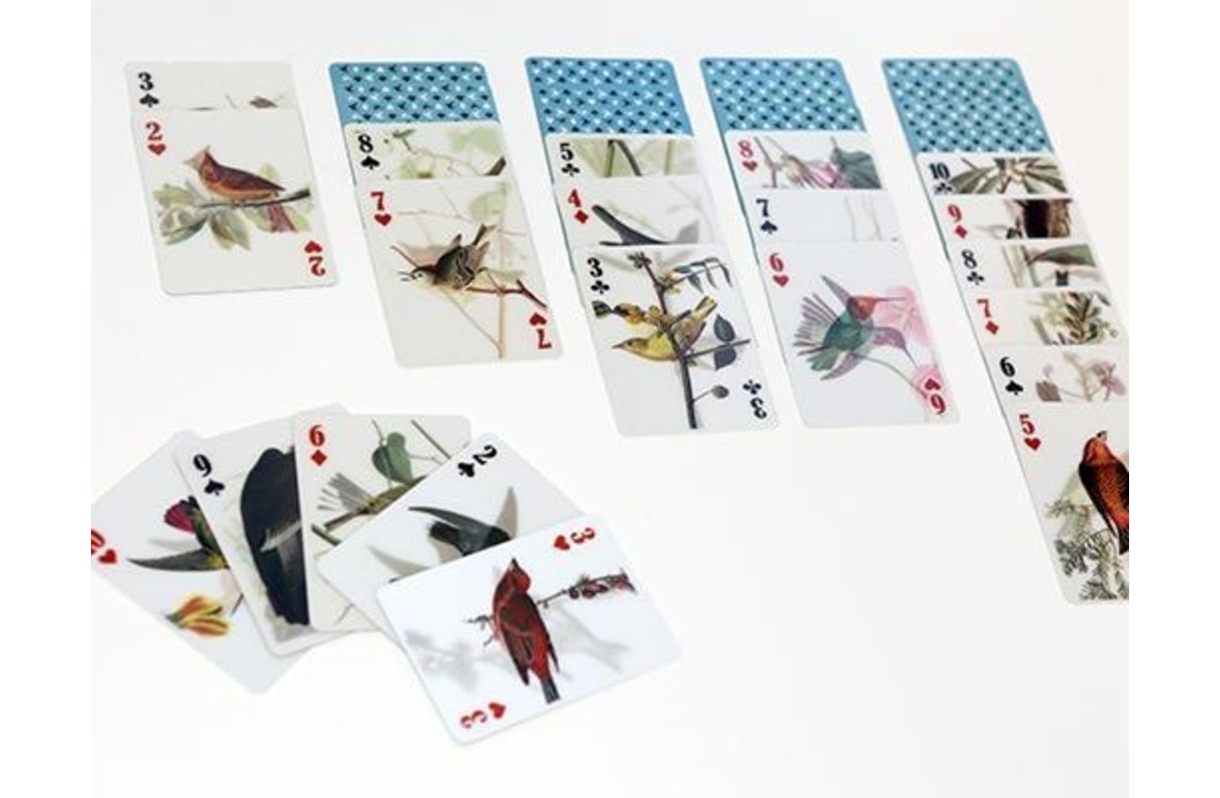 Bird Playing Cards 3D