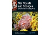 Sea Squirts and Sponges of Britain and Ireland