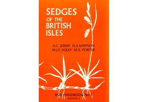 Sedges of the British Isles