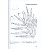 Pondweeds of Great Britain and Ireland - BSBI Handbook No. 8