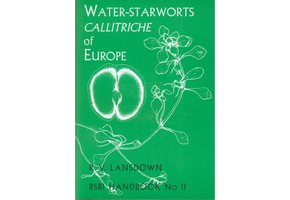 Water-starworts: Callitriche of Europe