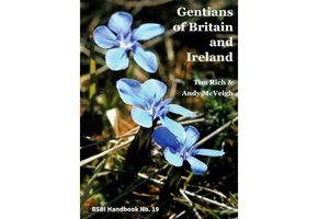 Gentians of Britain and Ireland