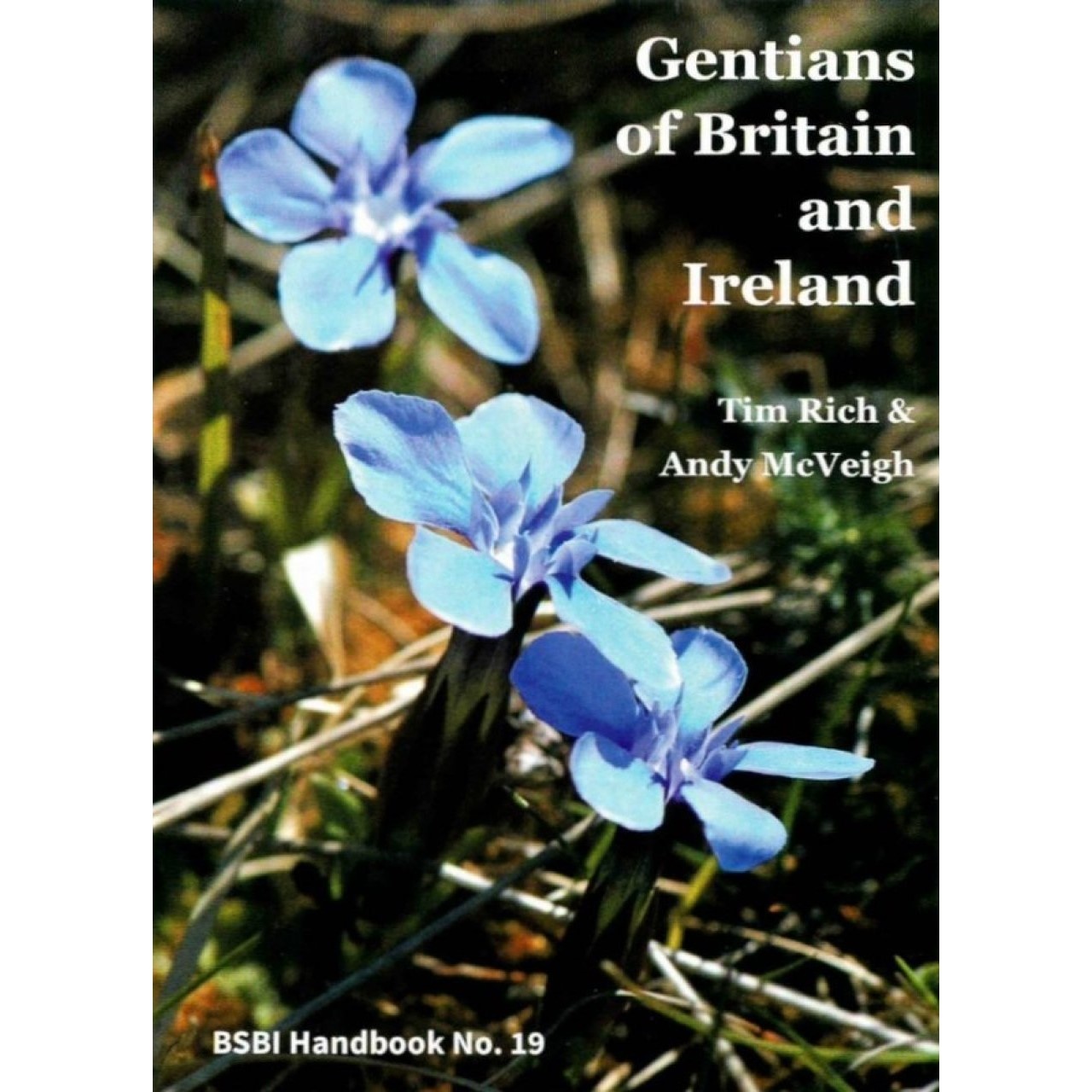 Gentians of Britain and Ireland - BSBI Handbook No. 19