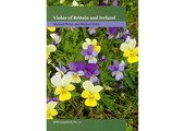 Violas of Britain and Ireland