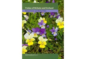 Violas of Britain and Ireland