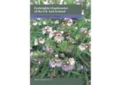 Eyebrights (Euphrasia) of the UK and Ireland