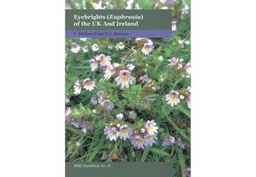 Eyebrights (Euphrasia) of the UK and Ireland