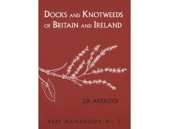 Docks and Knotweeds of Britain and Ireland
