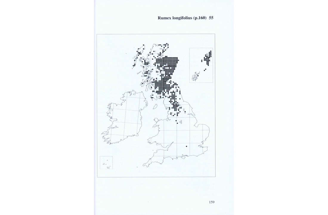 Docks and Knotweeds of Britain and Ireland - BSBI Handbook No. 3