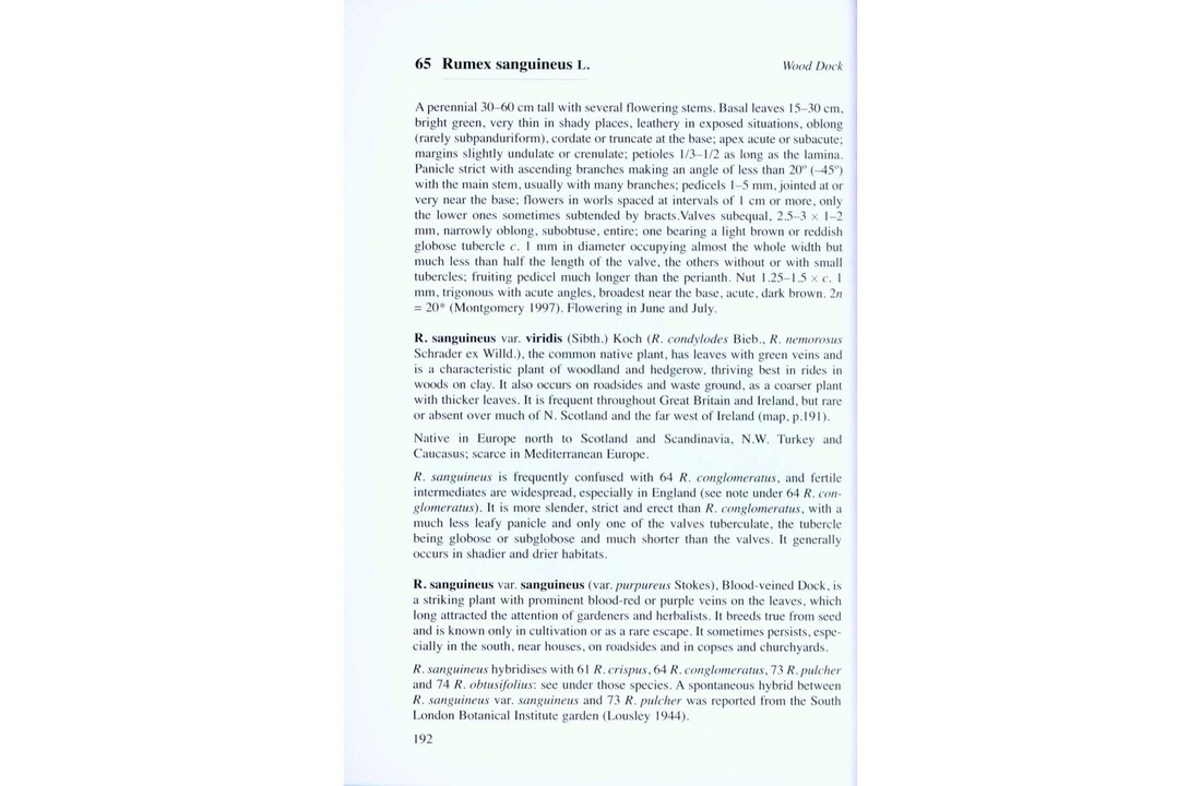 Docks and Knotweeds of Britain and Ireland - BSBI Handbook No. 3