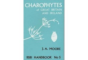 Charophytes of Great Britain and Ireland