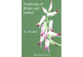 Fumitories of Britain and Ireland
