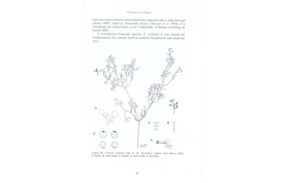 Fumitories of Britain and Ireland - BSBI Handbook No. 12
