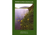 British Northern Hawkweeds