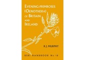 Evening-primroses (Oenothera) of Britain and Ireland