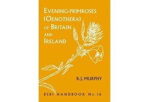 Evening-primroses (Oenothera) of Britain and Ireland