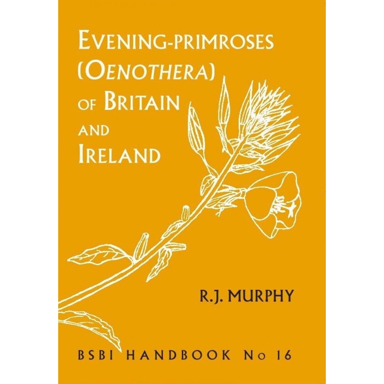 Evening-primroses (Oenothera) of Britain and Ireland - BSBI Handbook No. 16