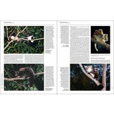 Handbook of the Mammals of the World, Vol. 5: Monotremes and Marsupials