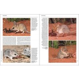 Handbook of the Mammals of the World, Vol. 5: Monotremes and Marsupials