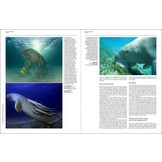 Handbook of the Mammals of the World, Vol. 4: Sea Mammals