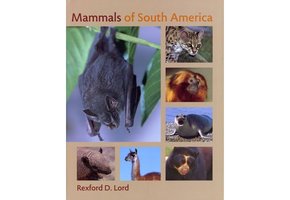 Mammals of South America