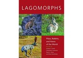 Lagomorphs: Pikas, Rabbits, and Hares of the World