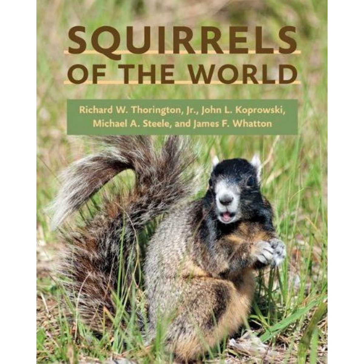 Squirrels of the World