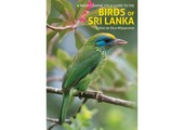 A Photographic Field Guide to the Birds of Sri Lanka