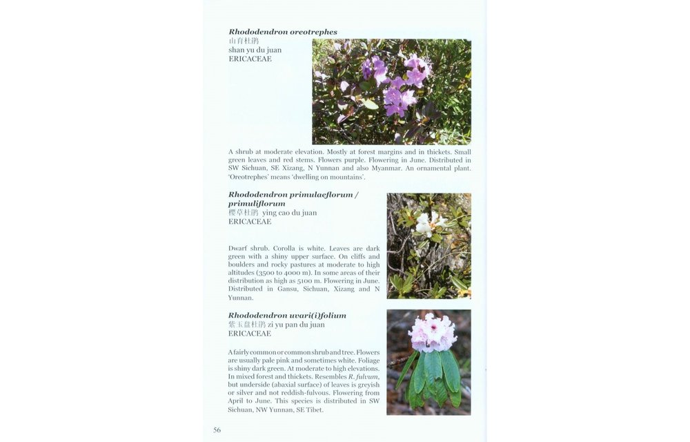 Field Guide to the Flora and Fauna of the Golden Monkey National Park/Baimaxueshan Nature Reserve, Yunnan, China