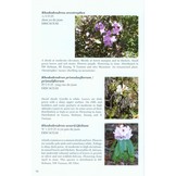 Field Guide to the Flora and Fauna of the Golden Monkey National Park/Baimaxueshan Nature Reserve, Yunnan, China