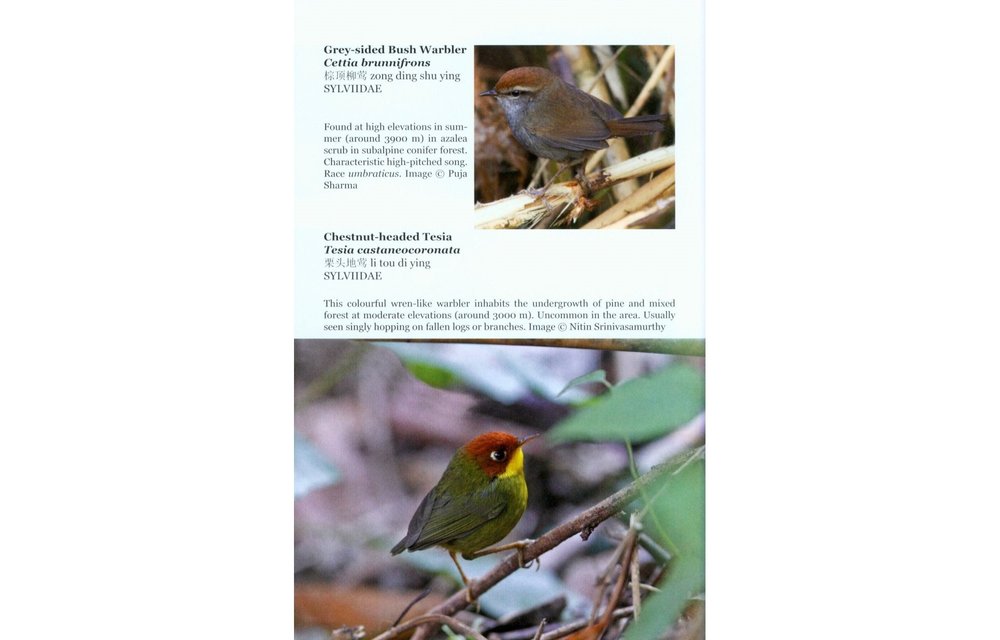 Field Guide to the Flora and Fauna of the Golden Monkey National Park/Baimaxueshan Nature Reserve, Yunnan, China