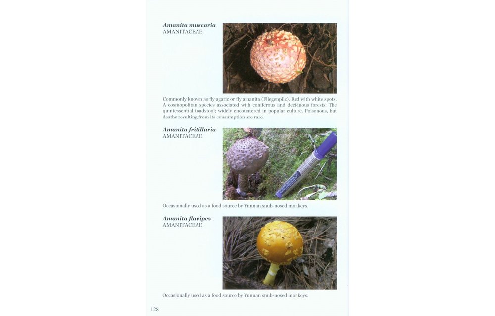 Field Guide to the Flora and Fauna of the Golden Monkey National Park/Baimaxueshan Nature Reserve, Yunnan, China