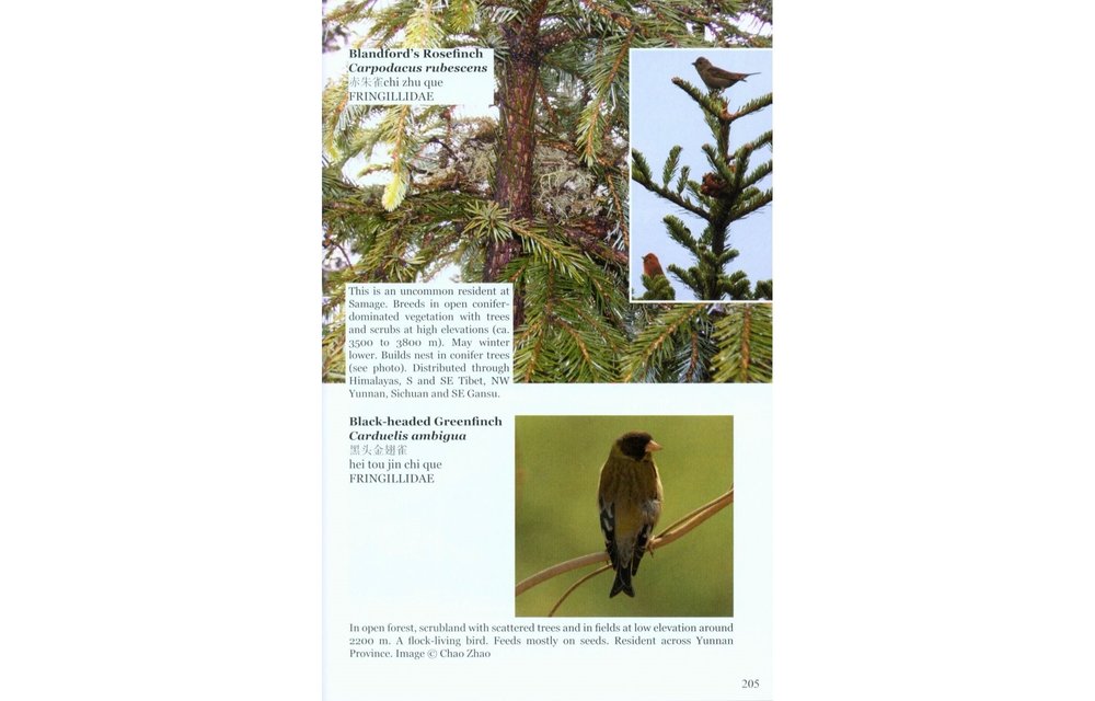 Field Guide to the Flora and Fauna of the Golden Monkey National Park/Baimaxueshan Nature Reserve, Yunnan, China