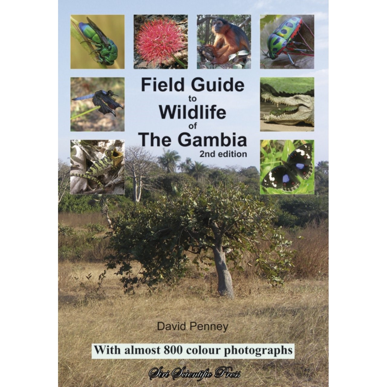 Field Guide to Wildlife of The Gambia - 2nd edition