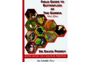 Field Guide to Butterflies of The Gambia, West Africa